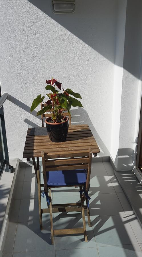 Appartamento Jardim Madalenas